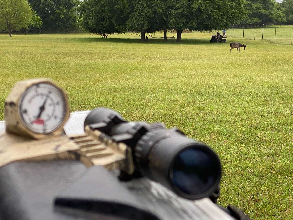 Game Capture & Relocation